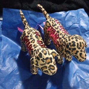 Set of VS puppies 🐶